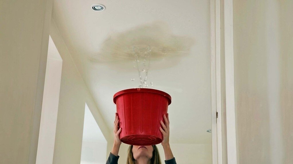 О, тепленькая пошла...Плохо что с потолка, конечно...