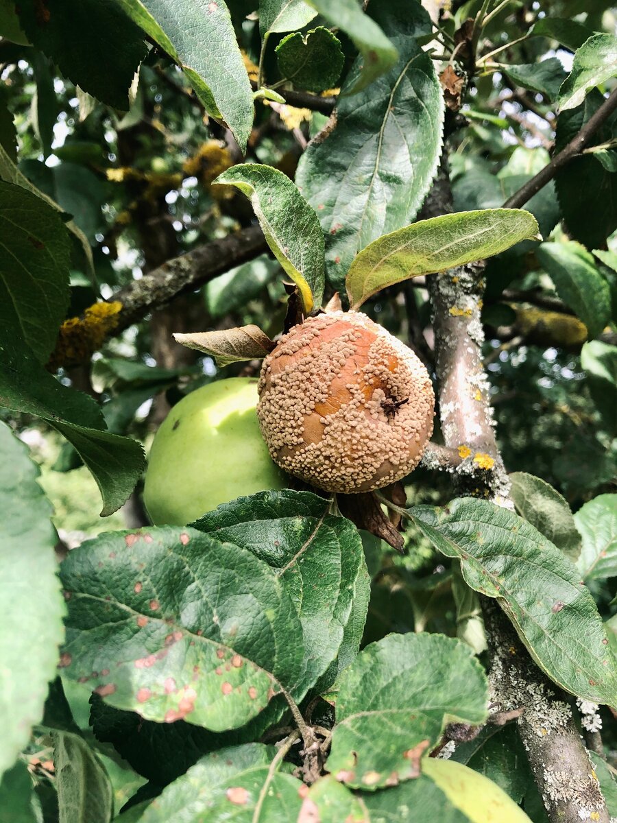 Как меня видят другие и как я вижу себя
