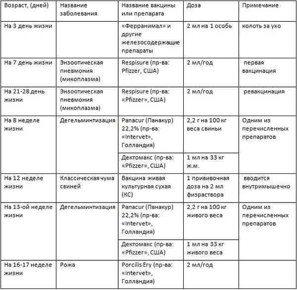 Вакцинация свиноматок схема