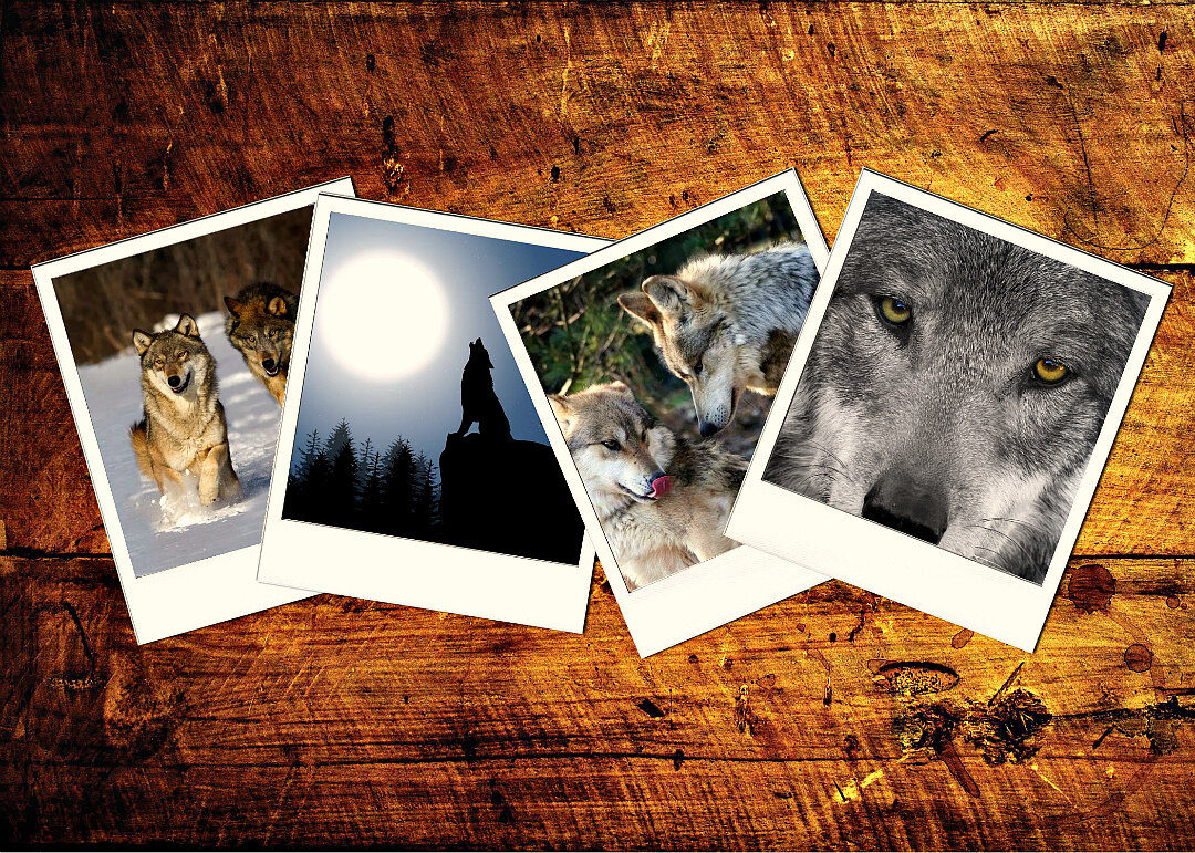 Ваши фото на память