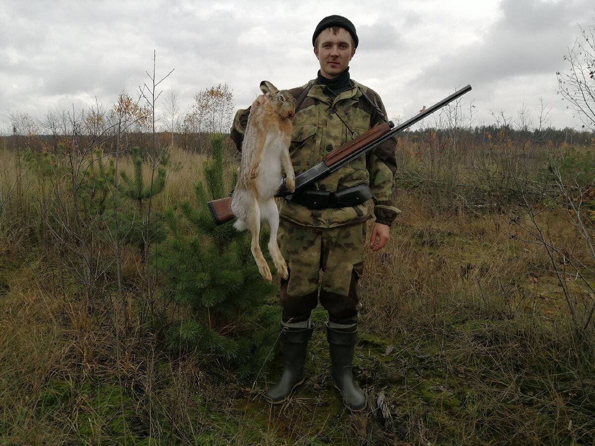 автор Роман Седляров. Охота на зайца на вырубленных делянках.