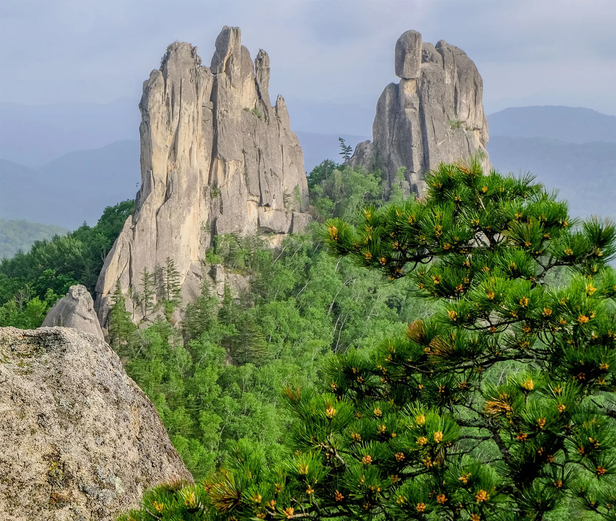 Парки приморский край. Чистоводное парк драконов. Парк драконов Приморье. Парк драконов Лазовский заповедник. Парк драконов Уссурийск.