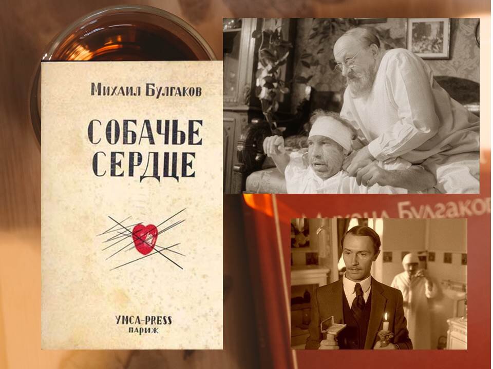 Читать книги собачье сердце полностью. Книга "Собачье сердце".