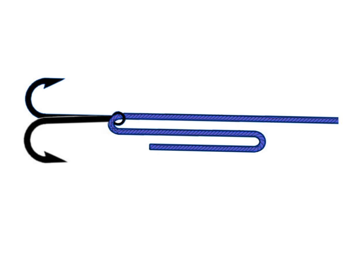 Рисунки автора