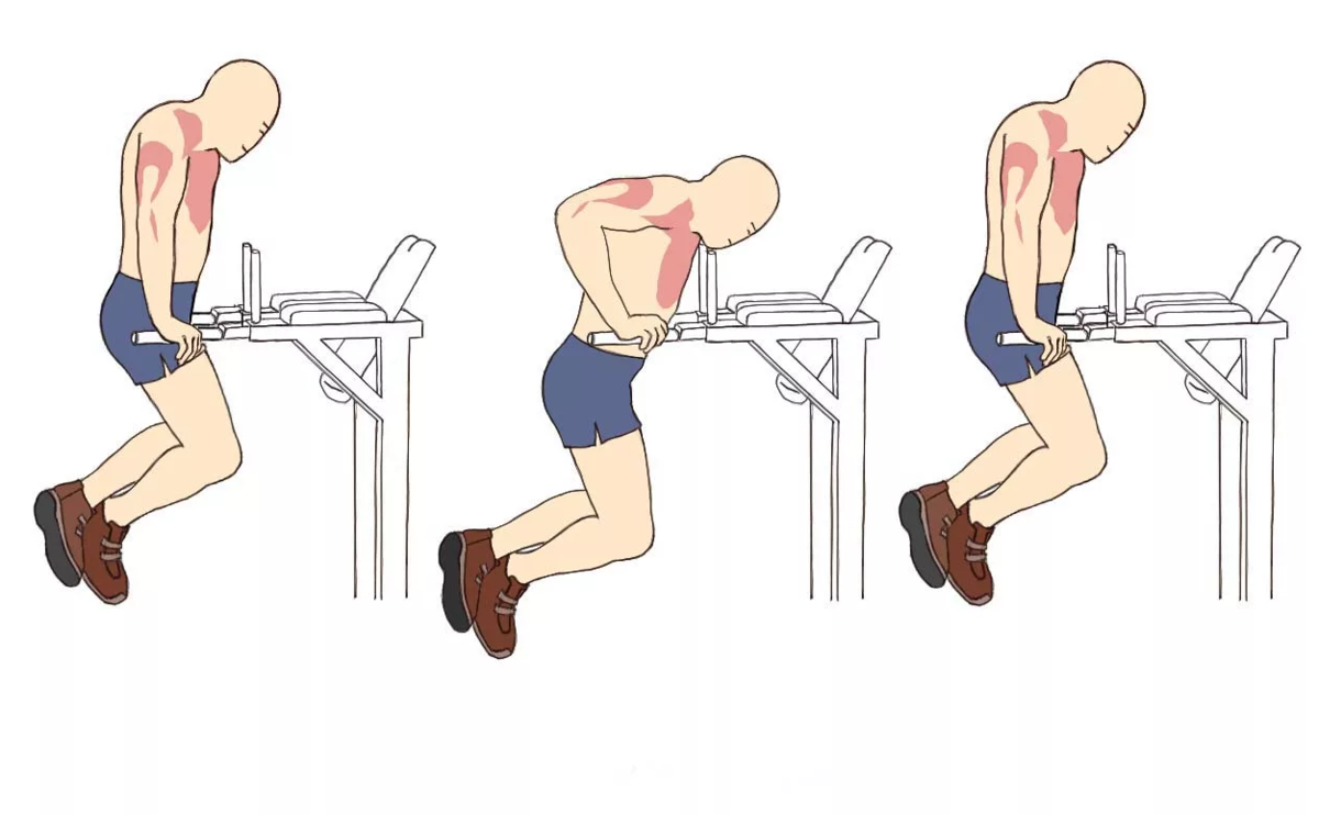 Лучшие упражнения для нижней области грудных мышц | Тренер Артём | Дзен