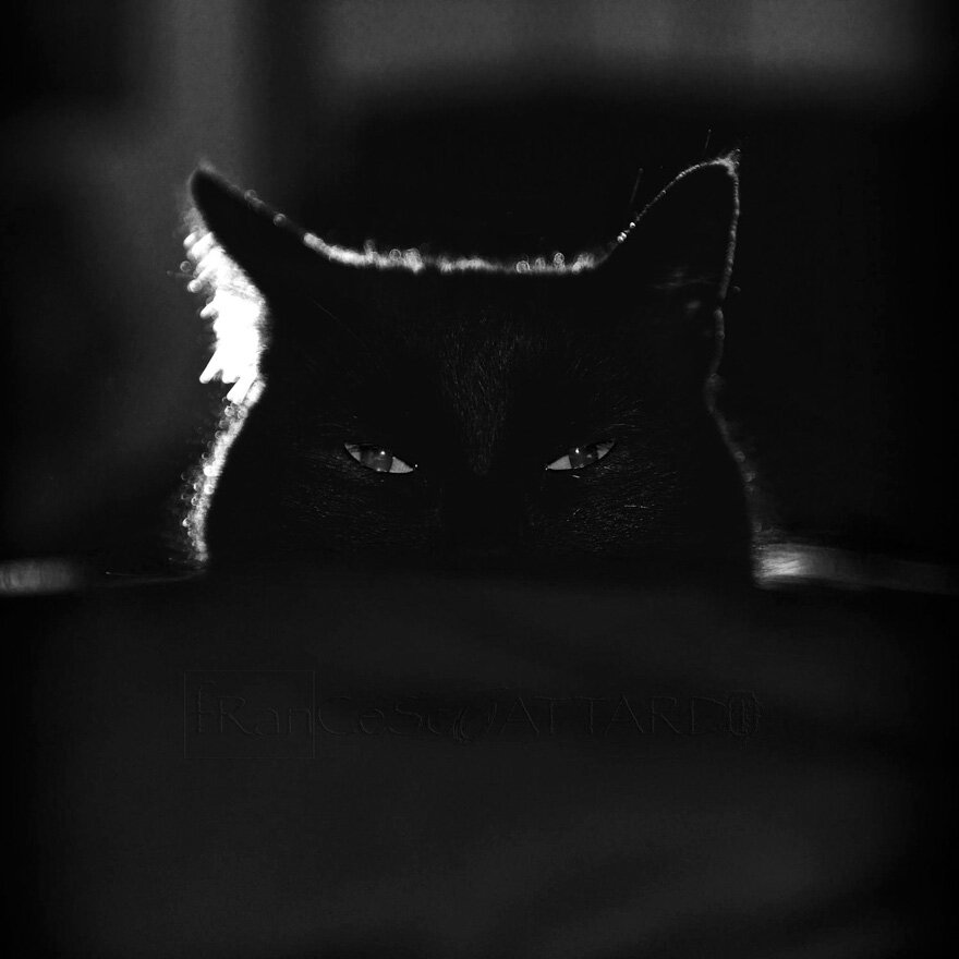 Яндекс картинки.