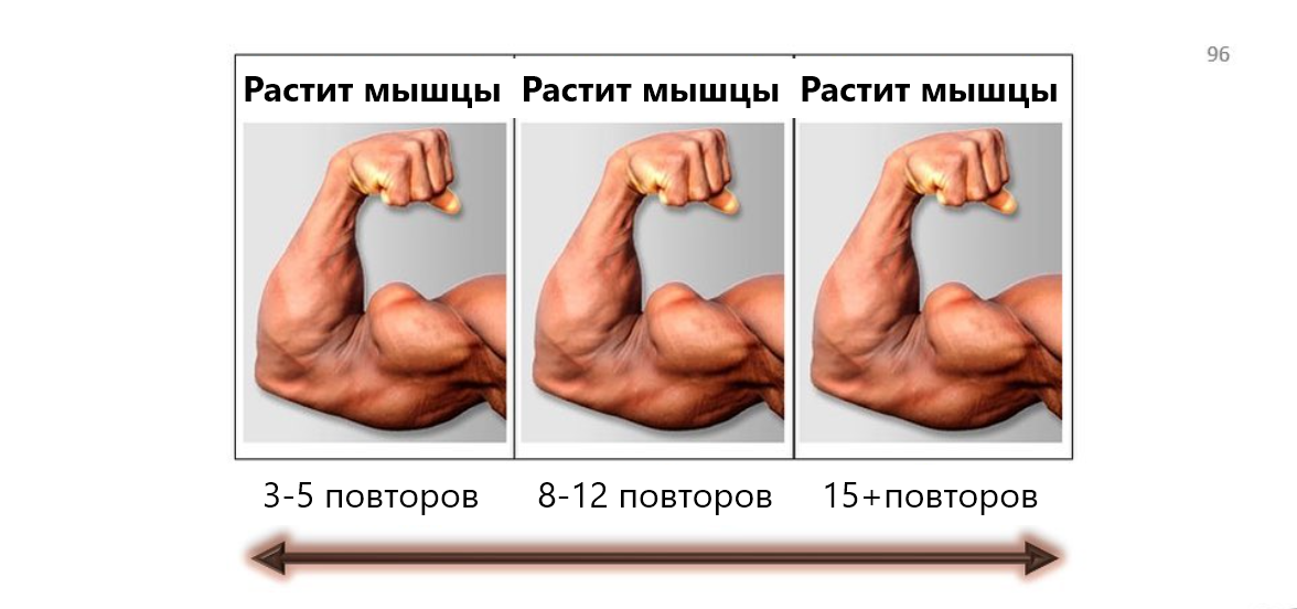 Мышца росла. Мышца росла
