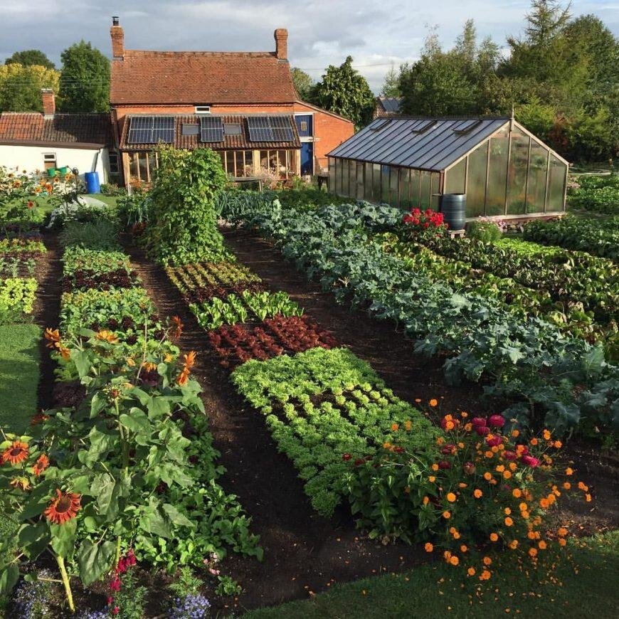 Садовый жаргон: простые термины в области садоводства