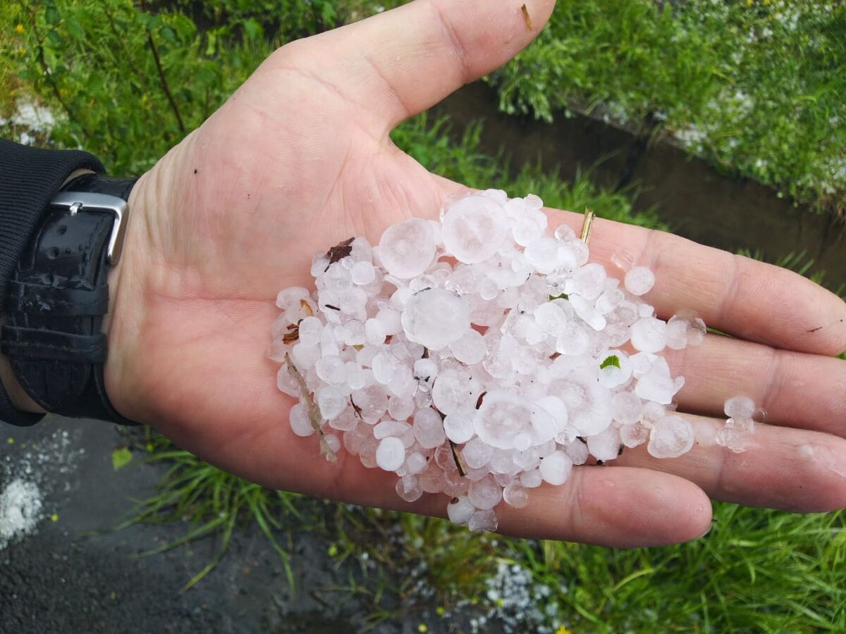 такой вот сюрприз 18 мая.фото мое.