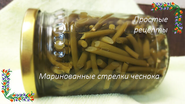 Маринованные стрелки чеснока на зиму. Фото Простые рецепты