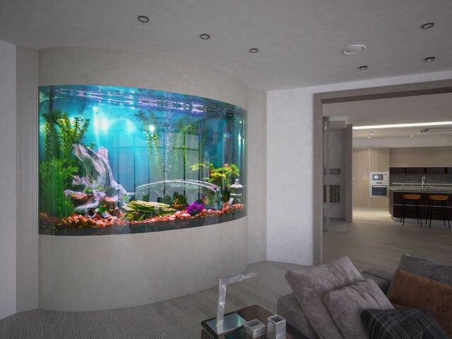 900 Gallon Built-In Aquarium Display Wall aquarium, Fish tank wall, Aquarium des