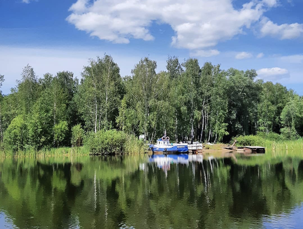 Фото: dingocamp.ru