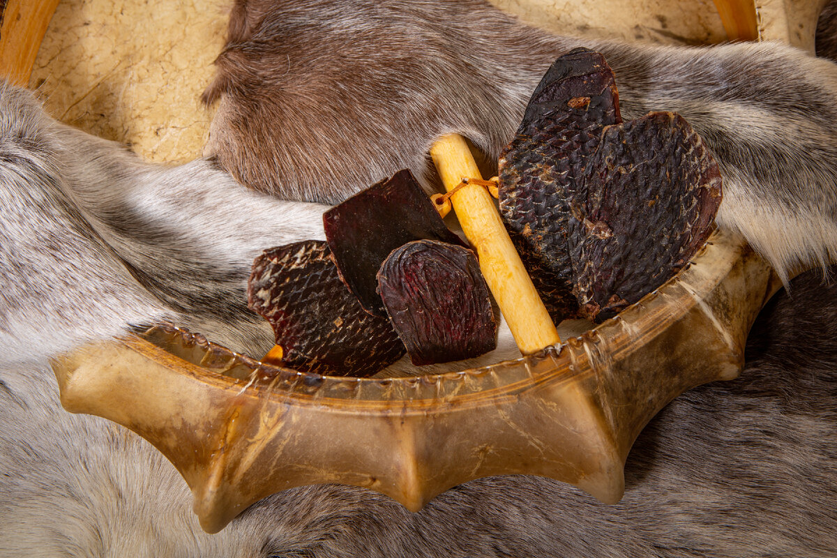 Селезенка Северного оленя