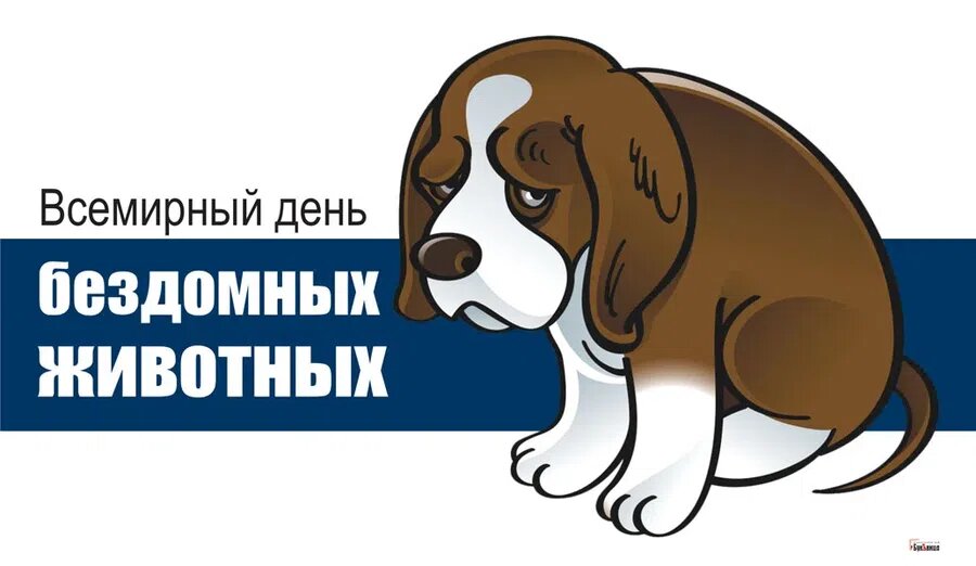 Всемирный день бездомных животных