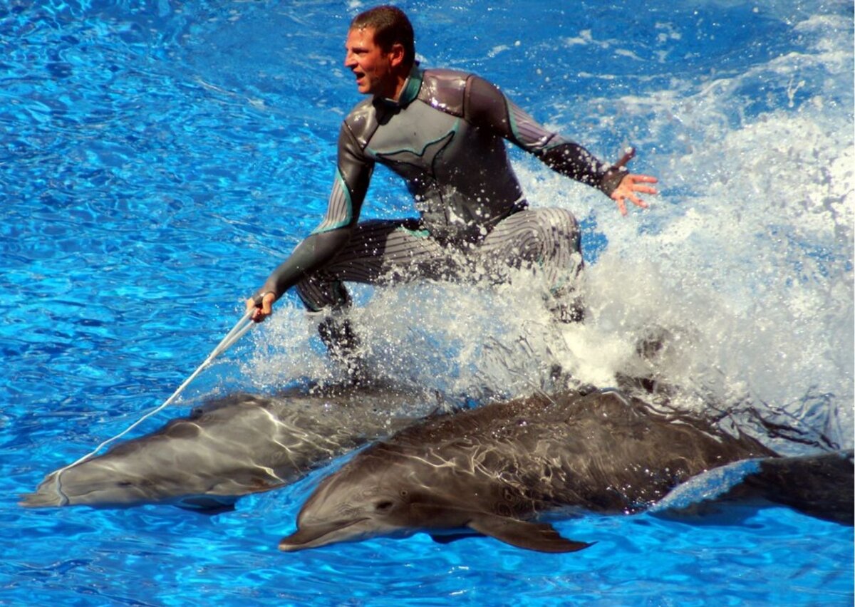 Фото с сайта flickr.com