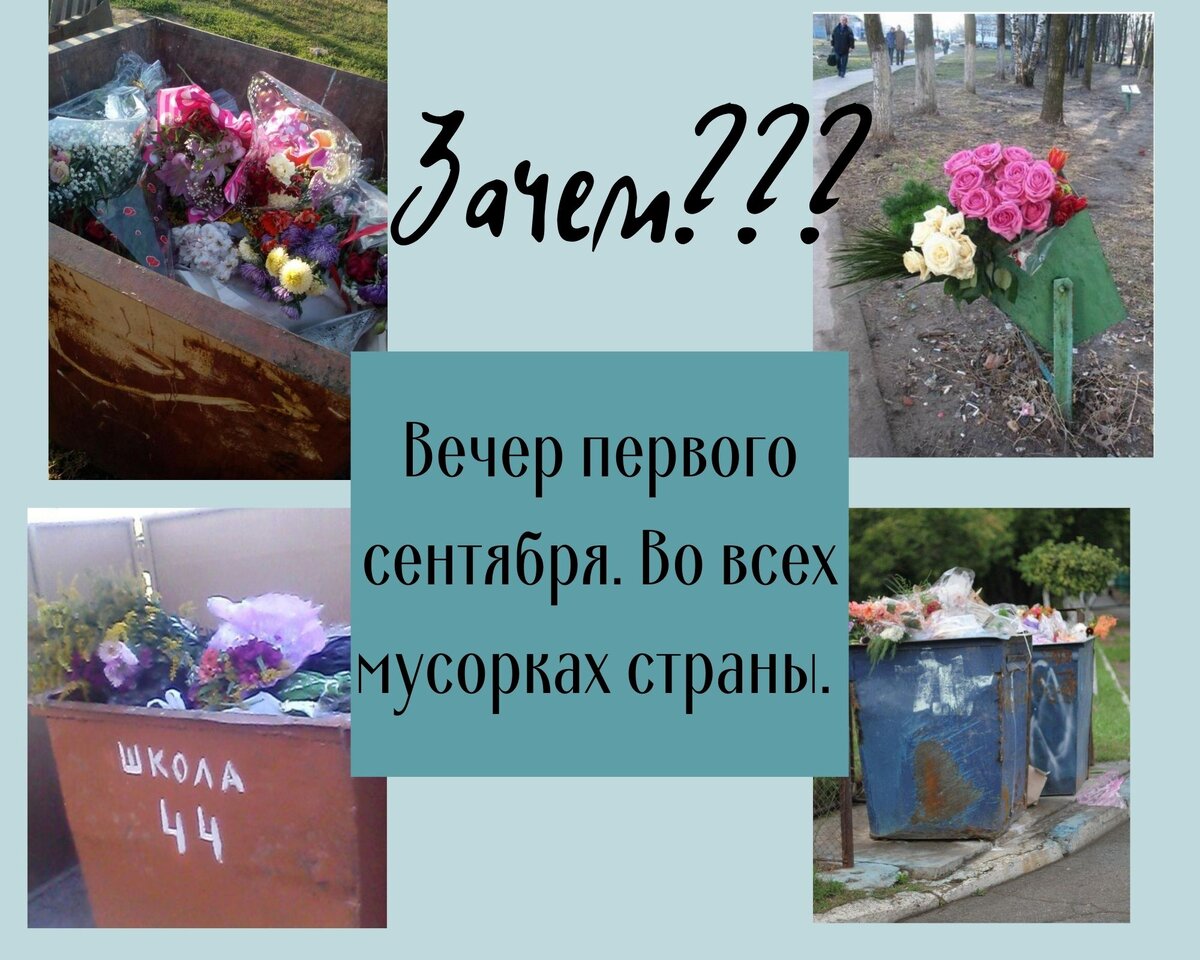 Мой коллаж на основе фото из интернета