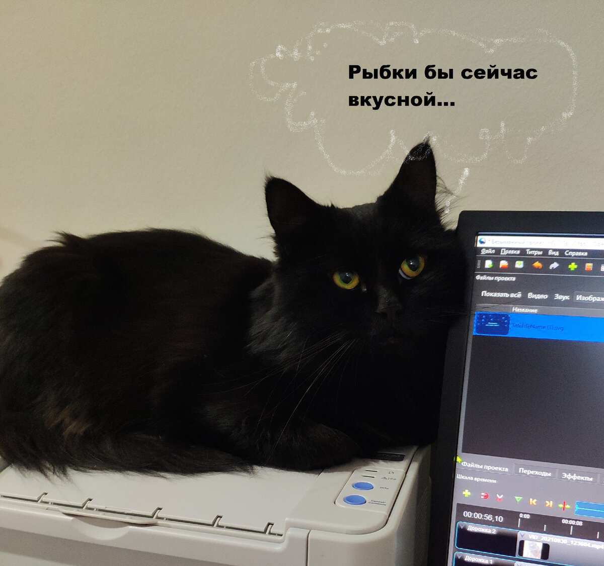 И о чем он сейчас думает?