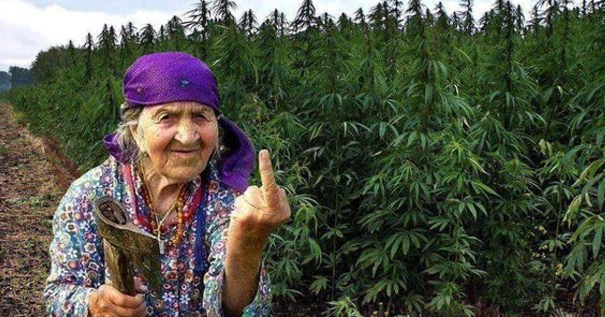 Яндекс фото из свободного доступаю Держитесь бабушки и дедушки-позитивного настроя и силы духа вам.Надо как женщина на этом фото относится к негативу