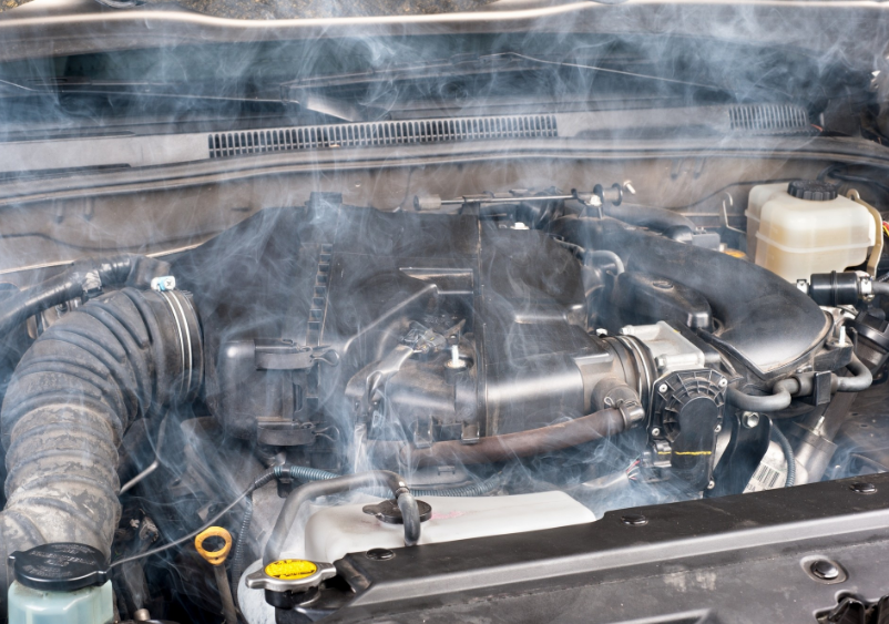 Фото взято с открытого источника