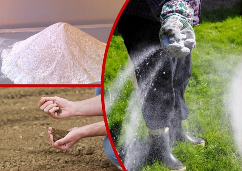 Доломитовая мука