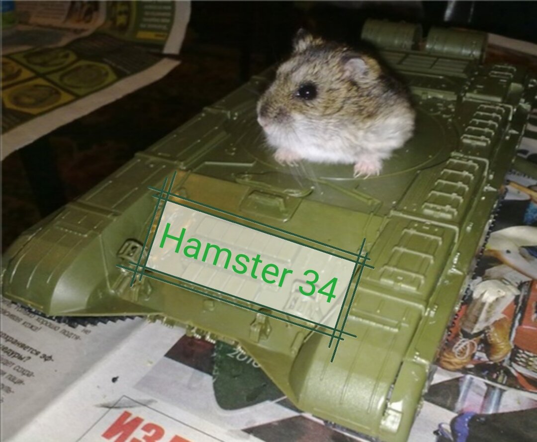 Хомяк запасся прочностью 