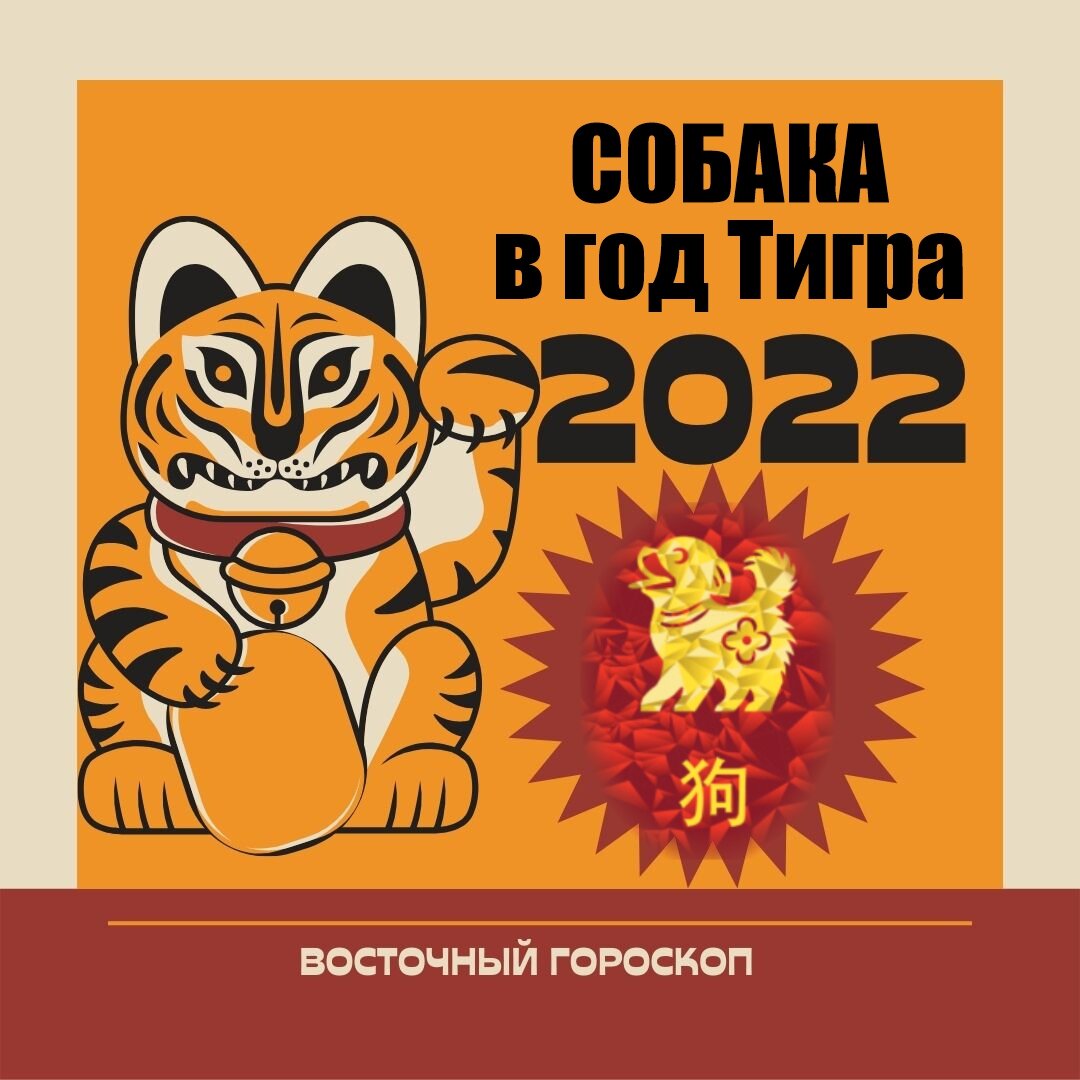 В 2022 году наступает Год Черного Водяного Тигра по восточному календарю. Точная дата - 4 февраля 2022 года. Как он повлияет на нашу жизнь и на каждый знак восточного гороскопа?