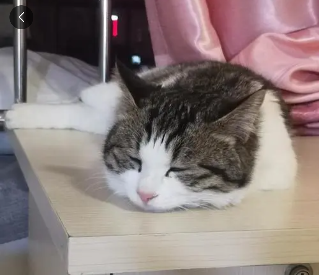 Это я, когда мне дают подобного рода жуткие задания😖😖😖