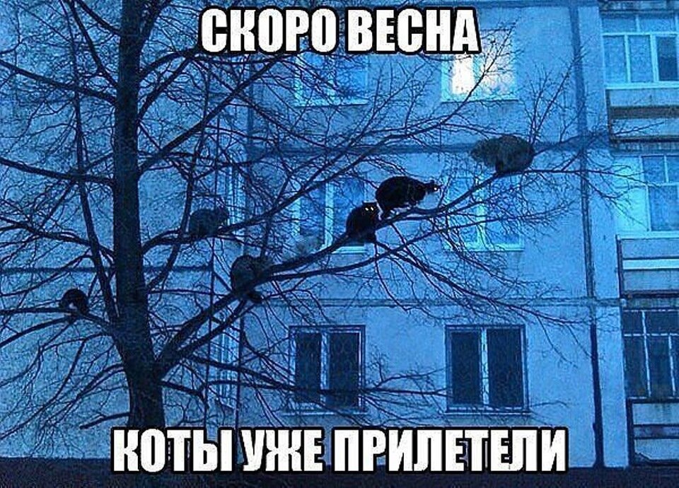 Приколы про весну в картинках