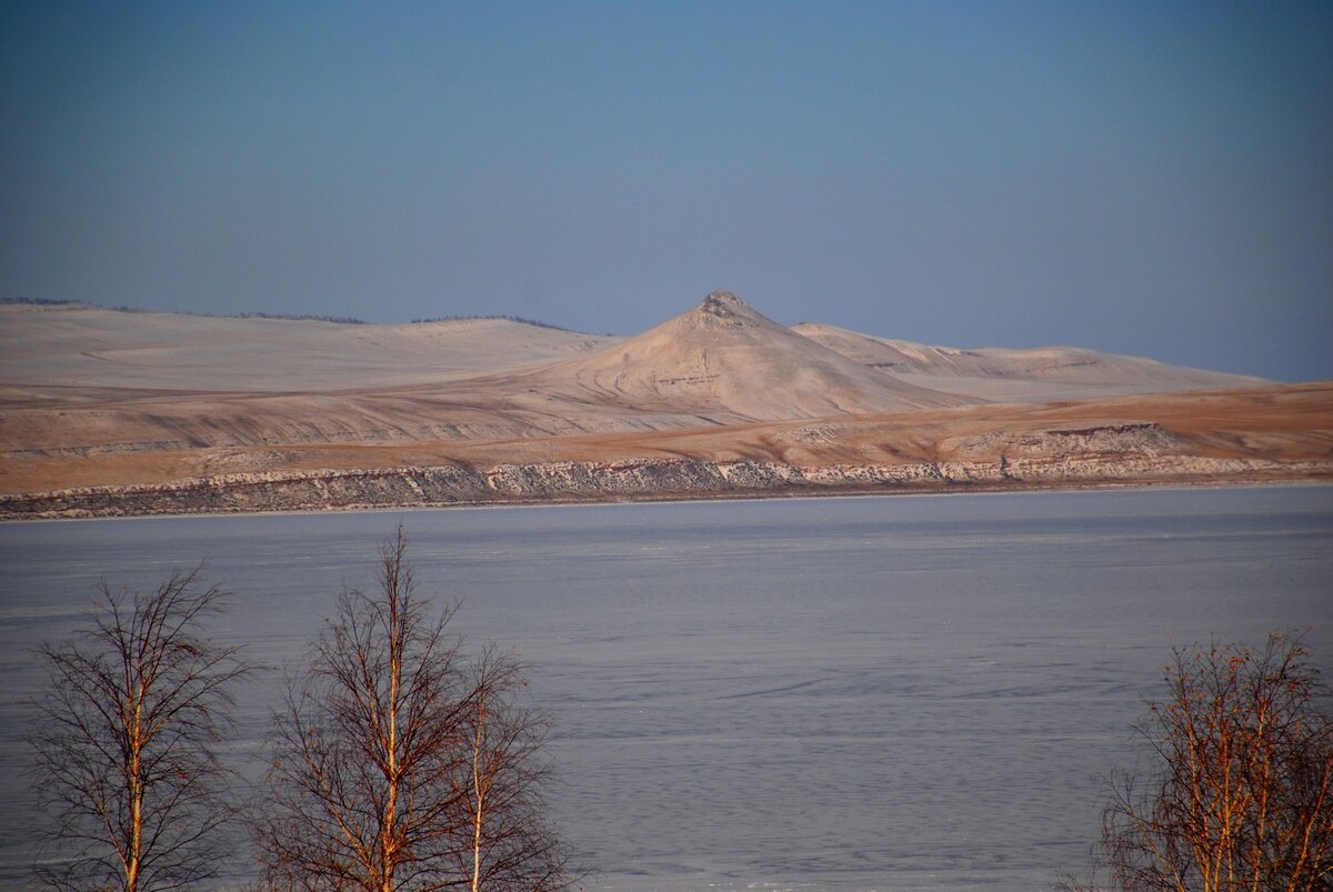 Беле