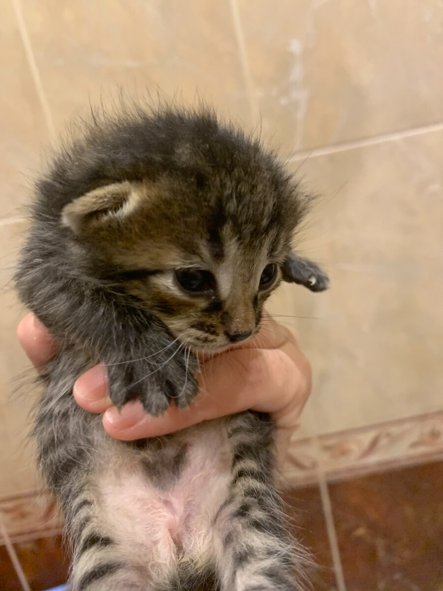 Яшеньке 14 дней