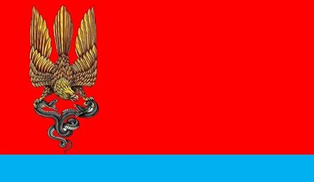 Вариант нового флага Украины