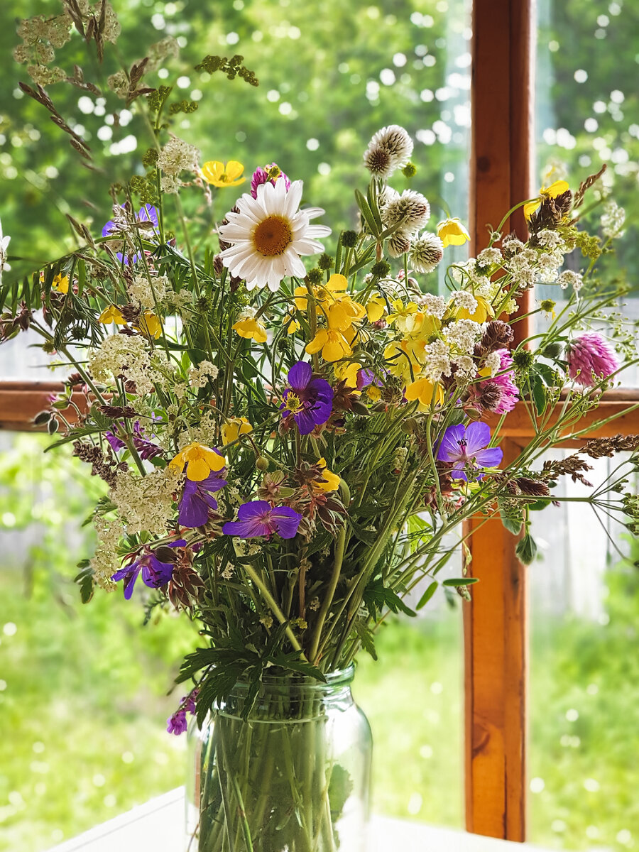Цветы Букет Полевые - Бесплатное фото на Pixabay