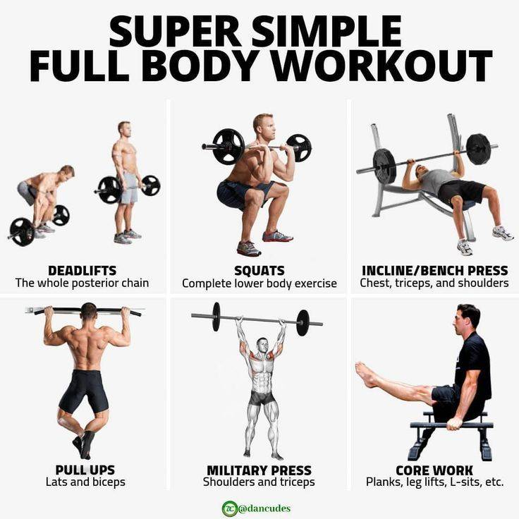 Пример тренировки по принципу "фулл боди", Комплекс из 6-ти, - 7-ми упражнений является оптимальным для новичков. Фото взято из открытых источников.