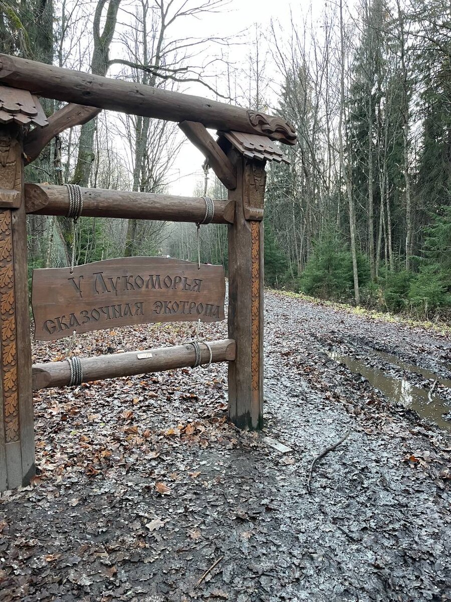 Сказочные лужи при входе на тропу.