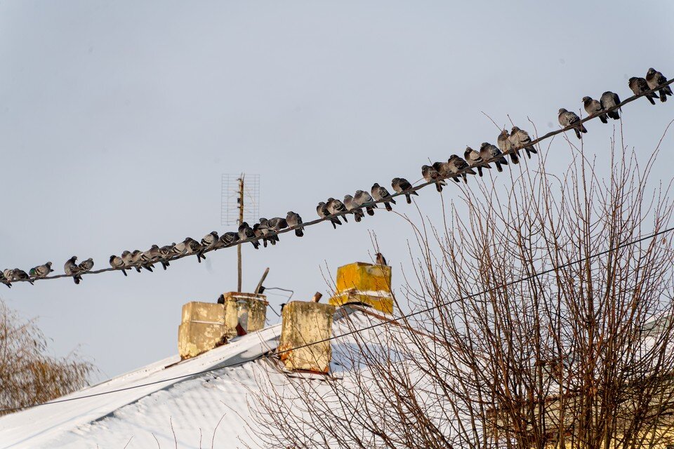    В западных районах ожидается резкое понижение минимальной температуры воздуха на 10 градусов и более. Михаил ФРОЛОВ