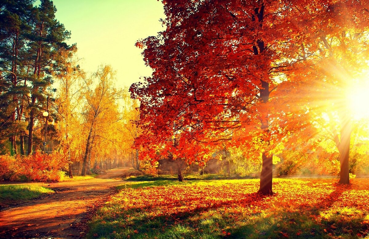 Изображение с Яндекс.Картинки