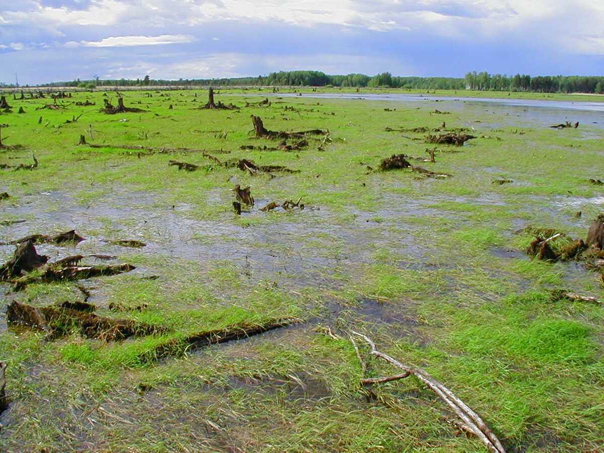 острова в водохранилище