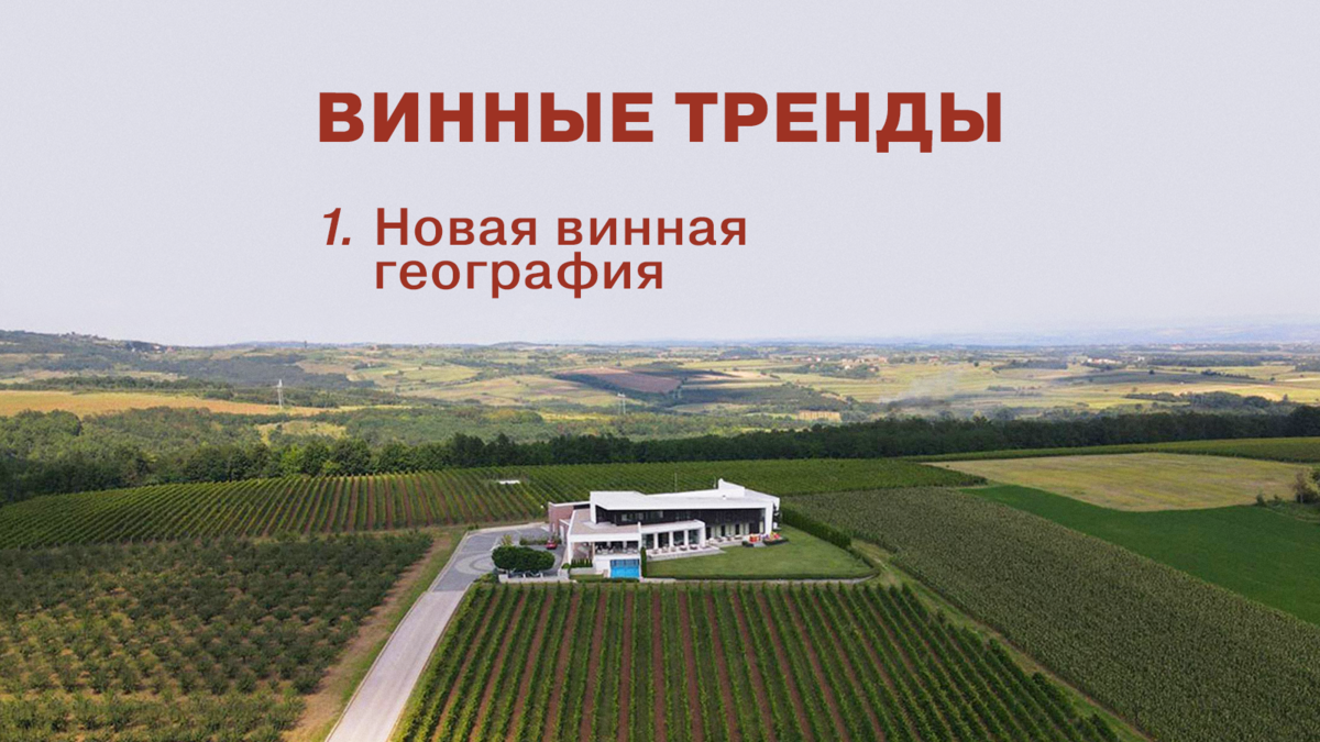 Винные тренды. Новая винная география