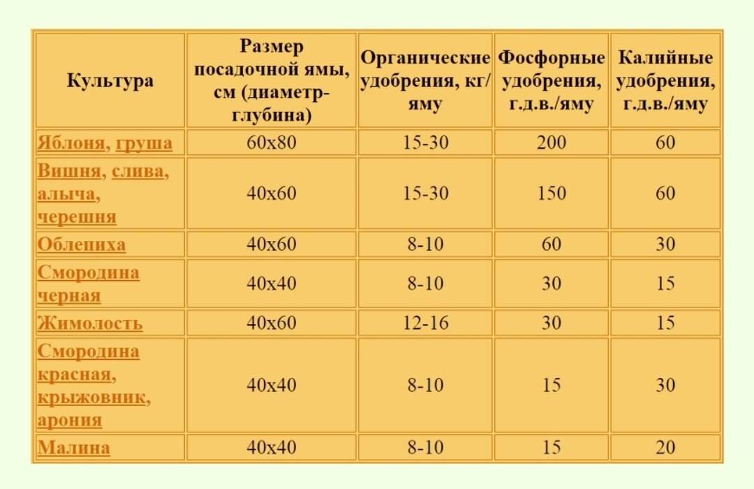 Схема посадки саженцев плодовых деревьев в саду