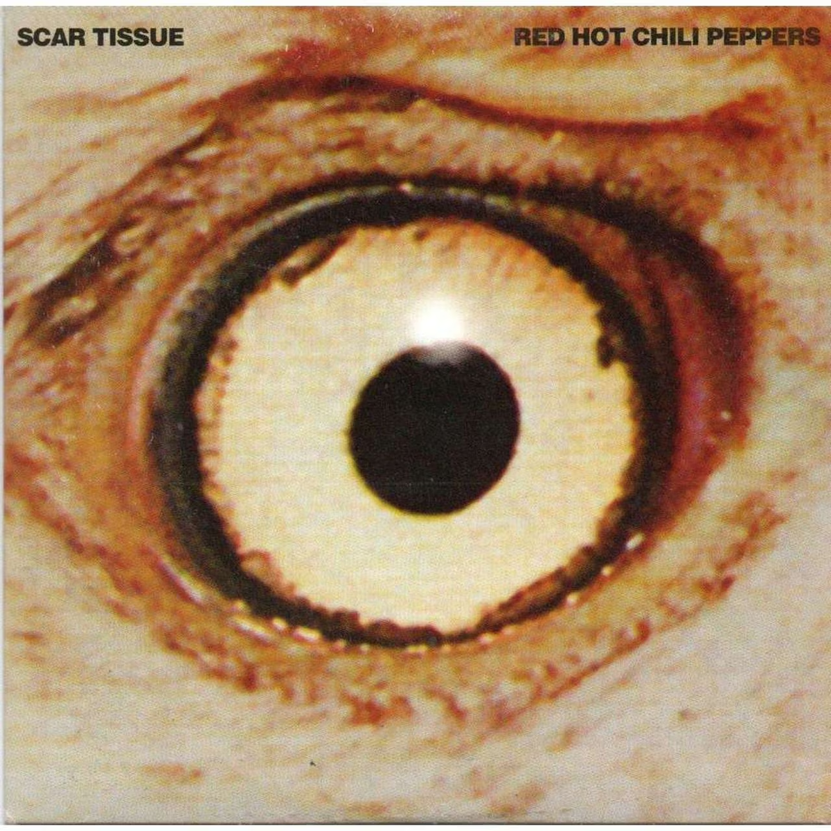 Peppers scar. Scar Tissue Red hot Chili Peppers. Scar Tissue Red hot Chili Peppers обложка. Red hot Chili scar Tissue. Scar Tissue Red hot Chili Peppers клип.