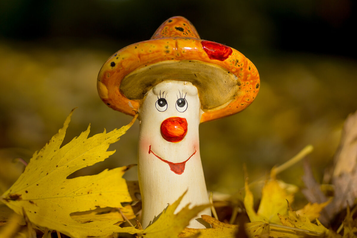    Создаем грибы, которые растут в любое время года