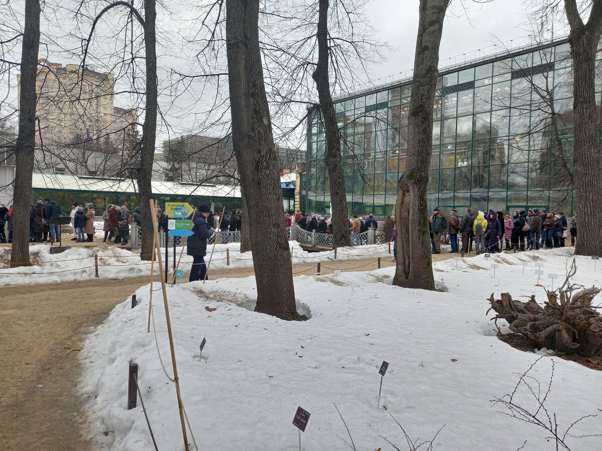 очередь на весеннюю выставку, Аптекарский Огород