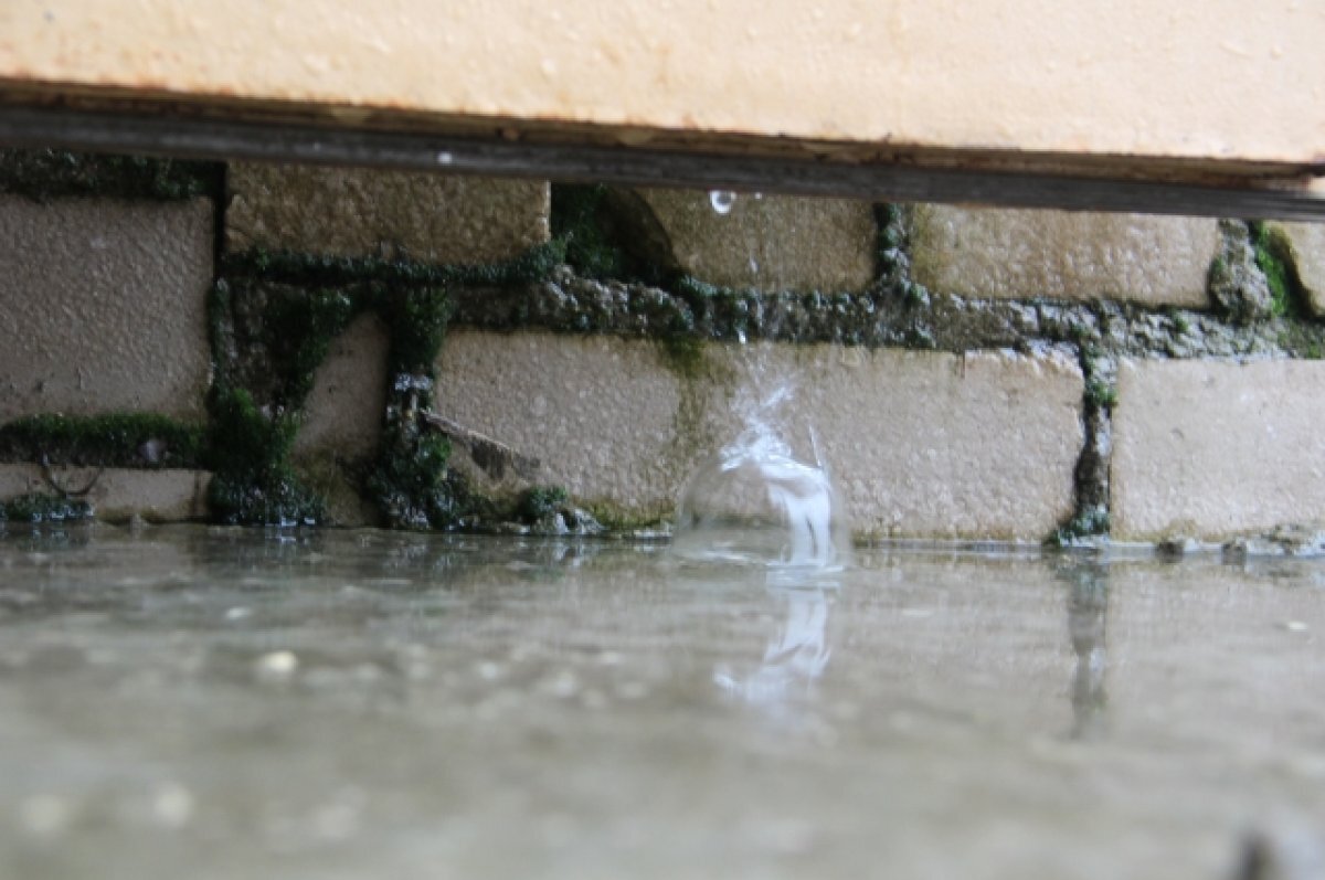    В Туле улицу Ложевую затопило после дождя