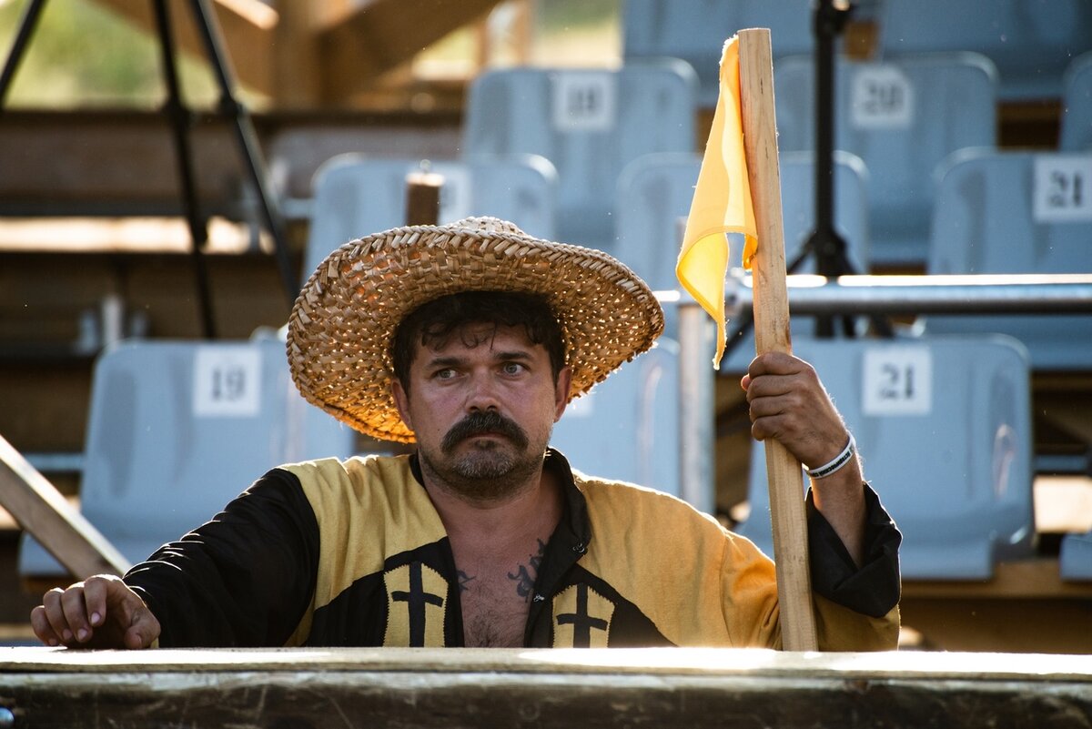 Ну ладно, иногда они не дерутся, а наблюдают. С грустью и печалью, ибо могли бы лично... 