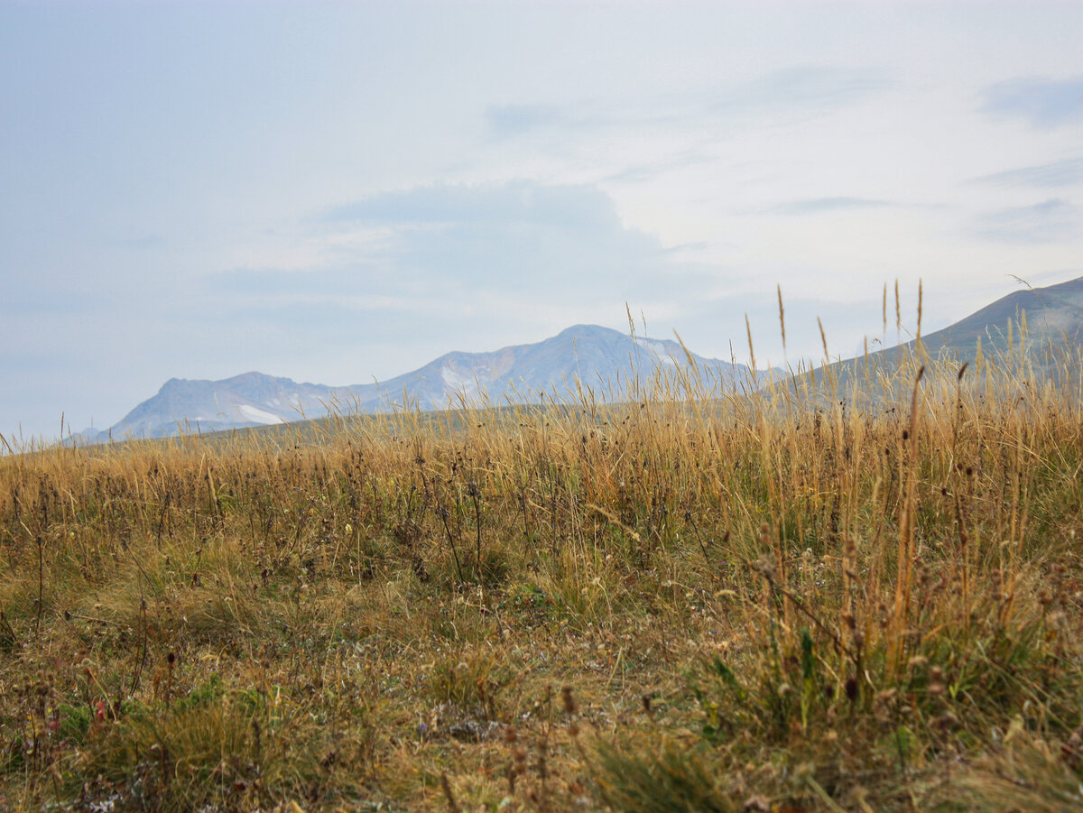 Нагорье Лагонаки в начале осени. Здесь и далее в статье фото автора, 03.09.2023 года. 