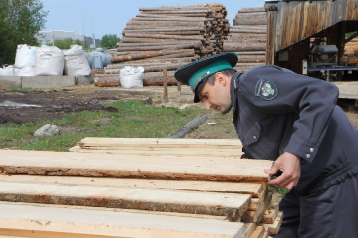    Из Красноярского края в 16 стран вывезли почти 3 млн кубометров древесины