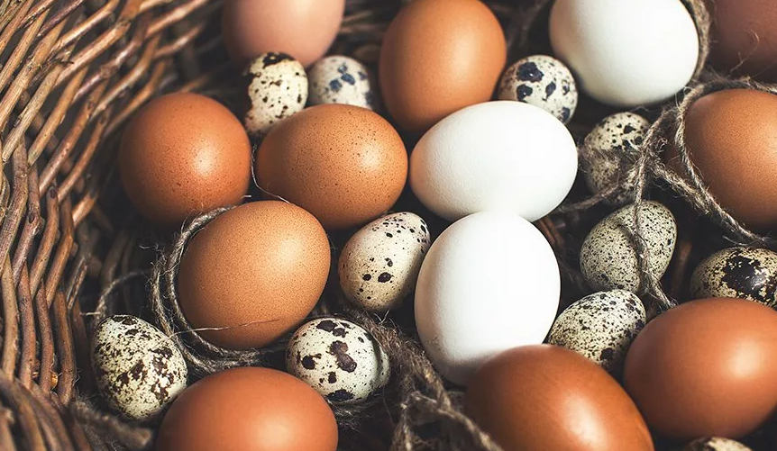 фото из сети Интернет