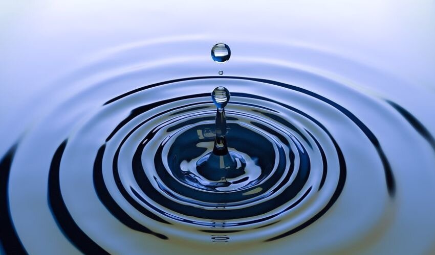 Фото: pixabay.com