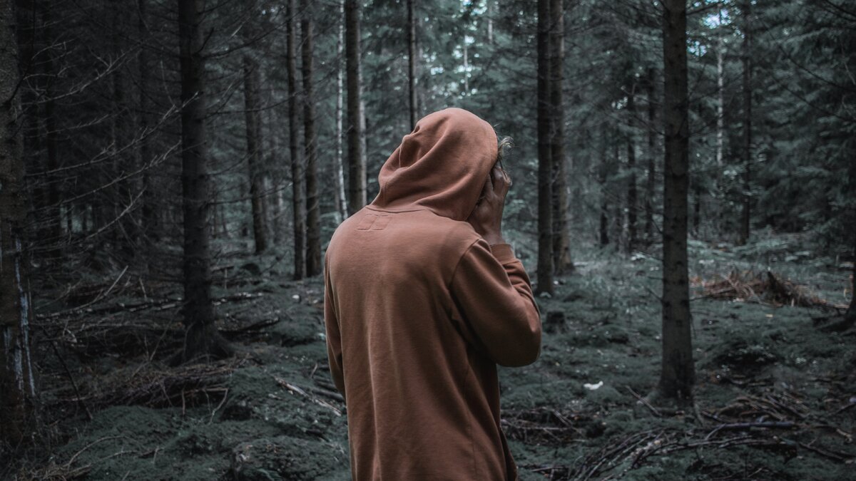 (фото из интернета)