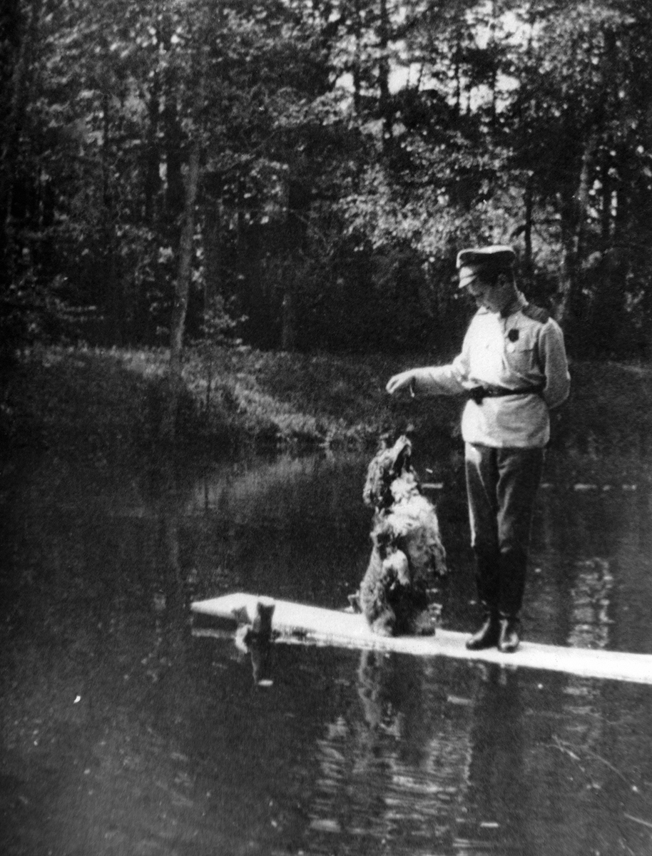 Царевич Алексей со спаниелем Джоем. 1915 год.